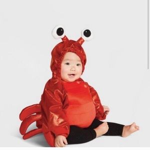 6-12 month baby lobster, like new, Target brand